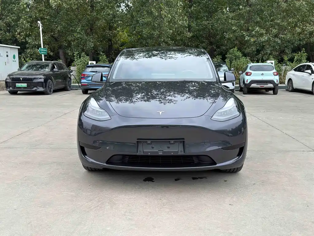 Tesla Model Y — миниатюра 2