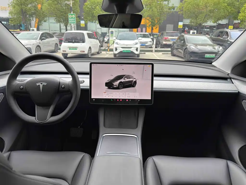 Tesla Model Y — миниатюра 7