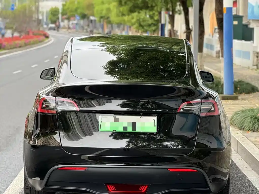 Tesla Model Y — миниатюра 3
