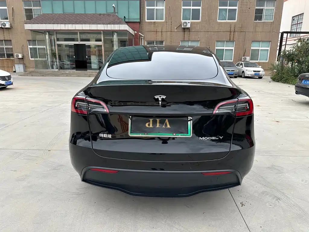 Tesla Model Y — миниатюра 7