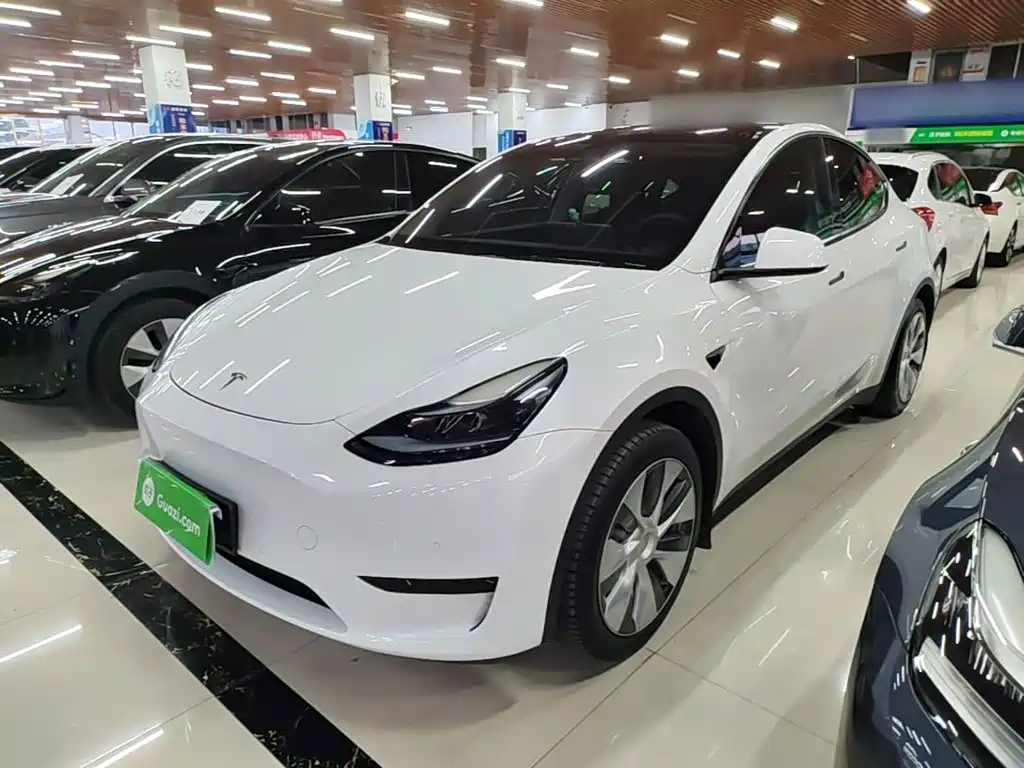 Tesla Model Y — миниатюра 2