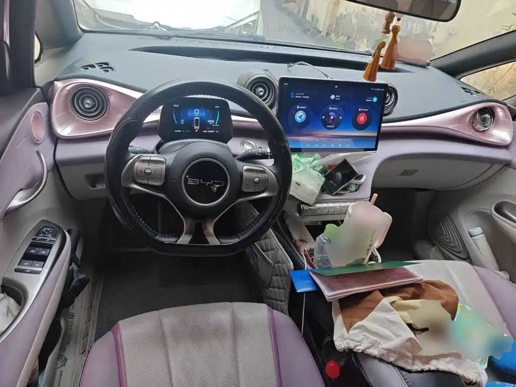 BYD Dolphin — миниатюра 5