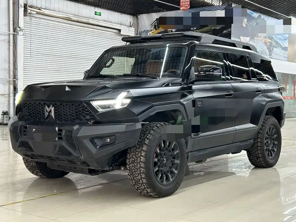 Mengshi Mengshi 917 2024