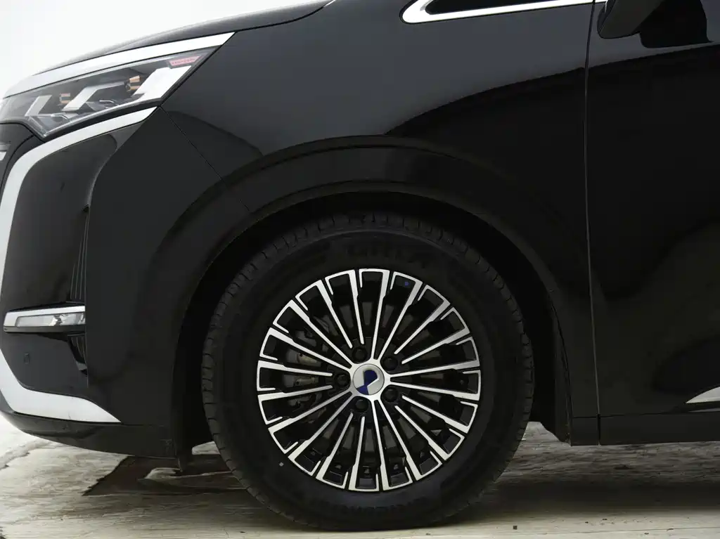 Denza Denza D9 — миниатюра 20