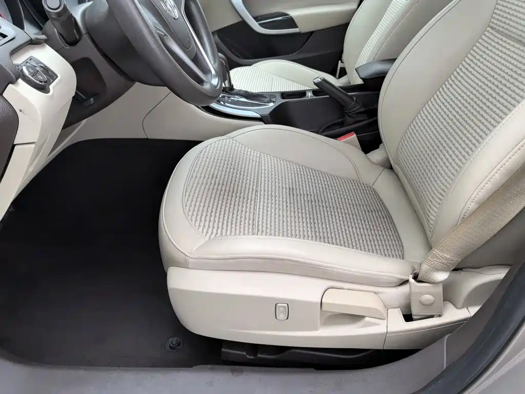 Buick Regal — миниатюра 20
