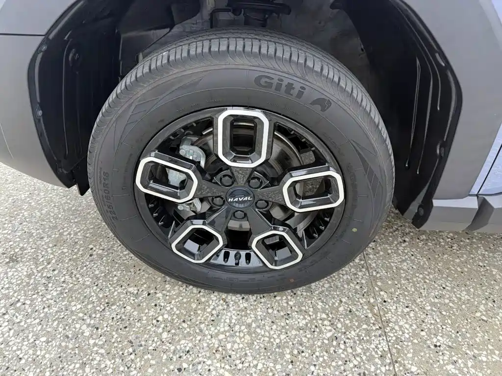 Haval Cool Dog — миниатюра 16