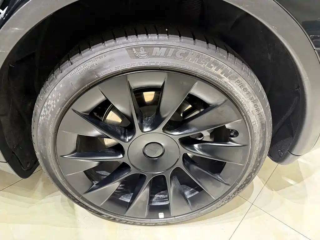 Tesla Model Y — миниатюра 12