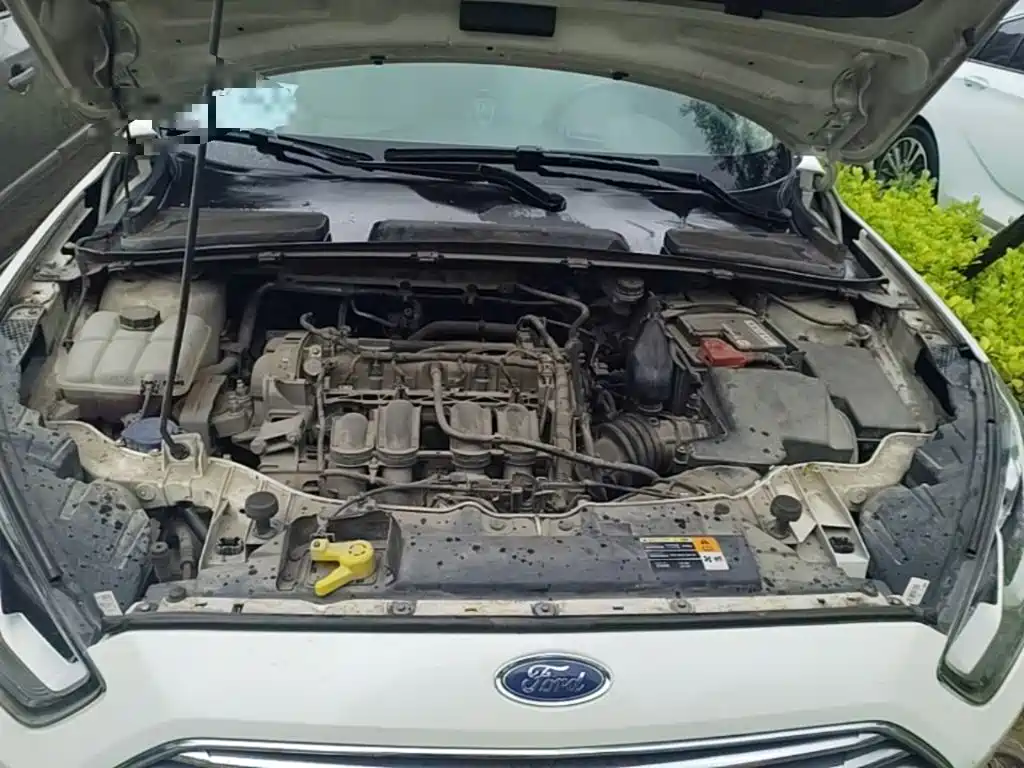 Ford Escort — миниатюра 25