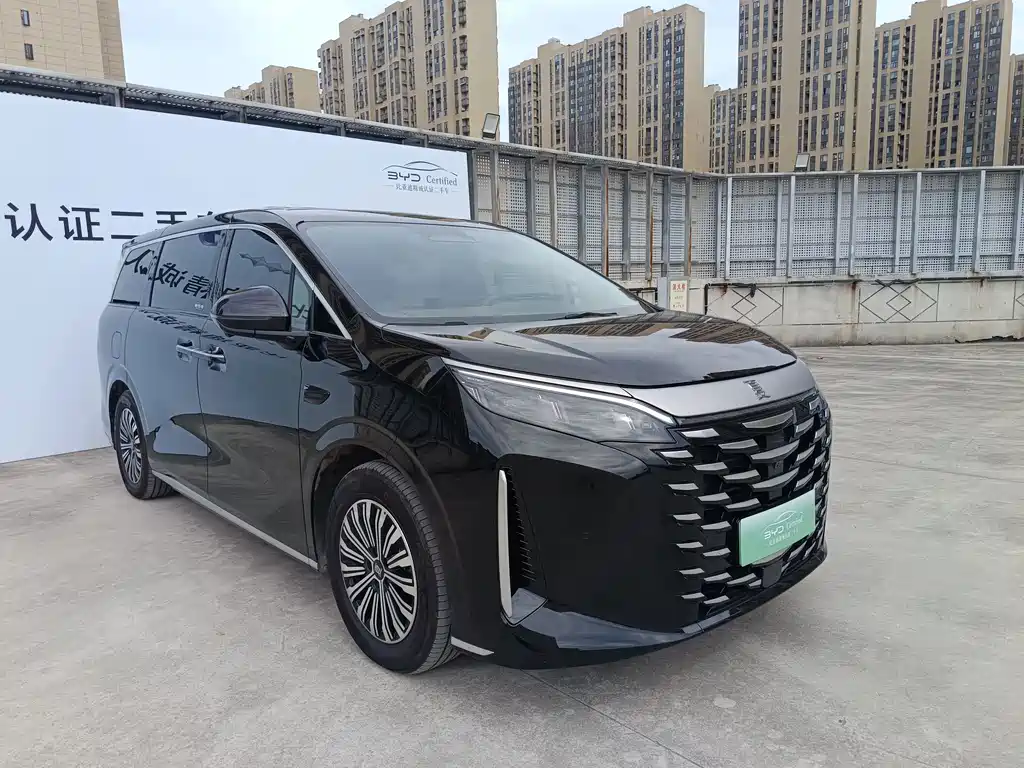 BYD Xia — миниатюра 3