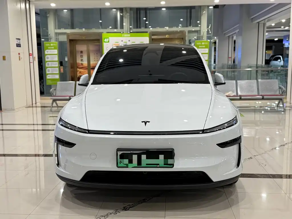 Tesla Model Y L — миниатюра 2