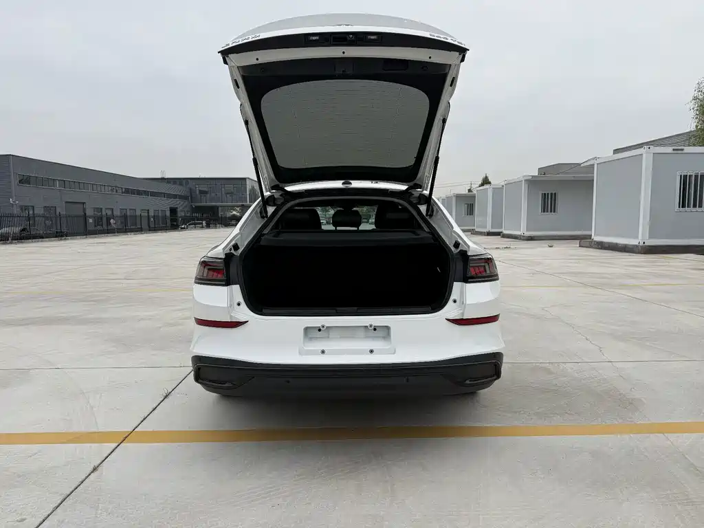 Volkswagen Lamando — миниатюра 6