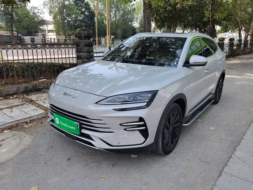 BYD PLUS New Energy — миниатюра 2