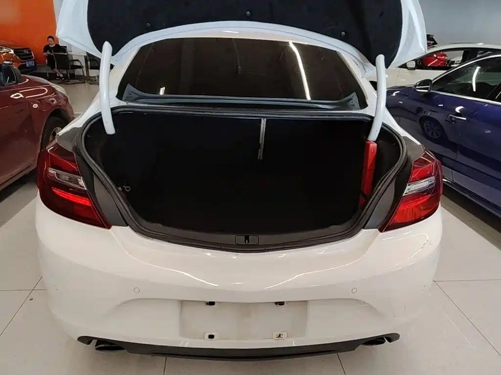 Buick Regal — миниатюра 19