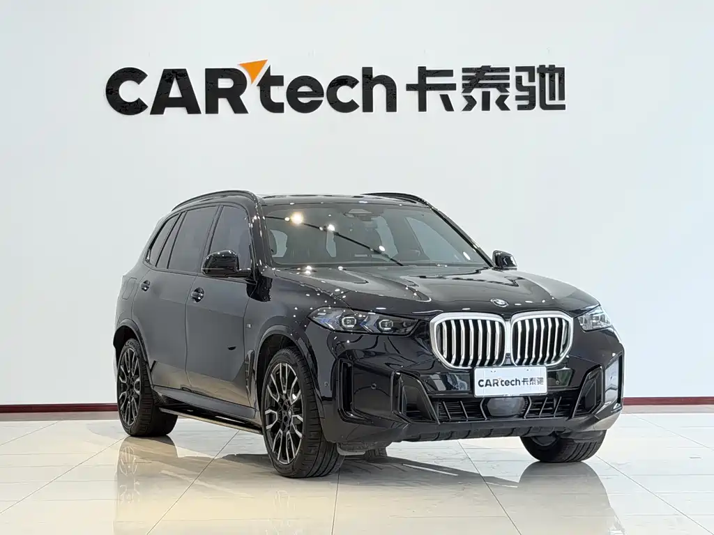 BMW X5 — миниатюра 3