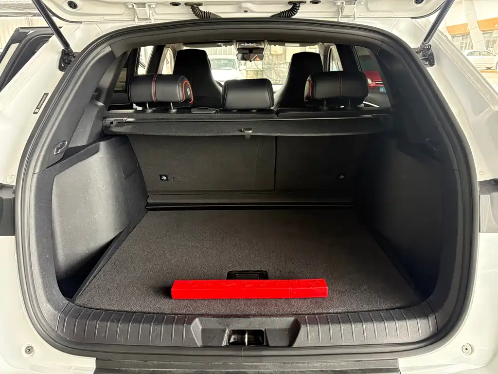 BYD PLUS — миниатюра 9