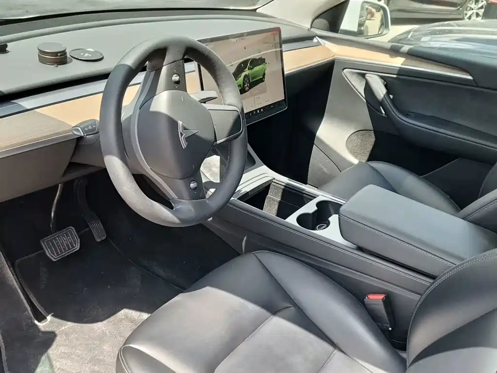 Tesla Model Y — миниатюра 8