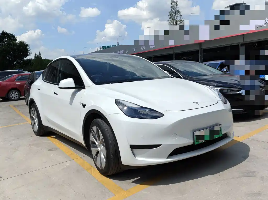 Tesla Model Y — миниатюра 3