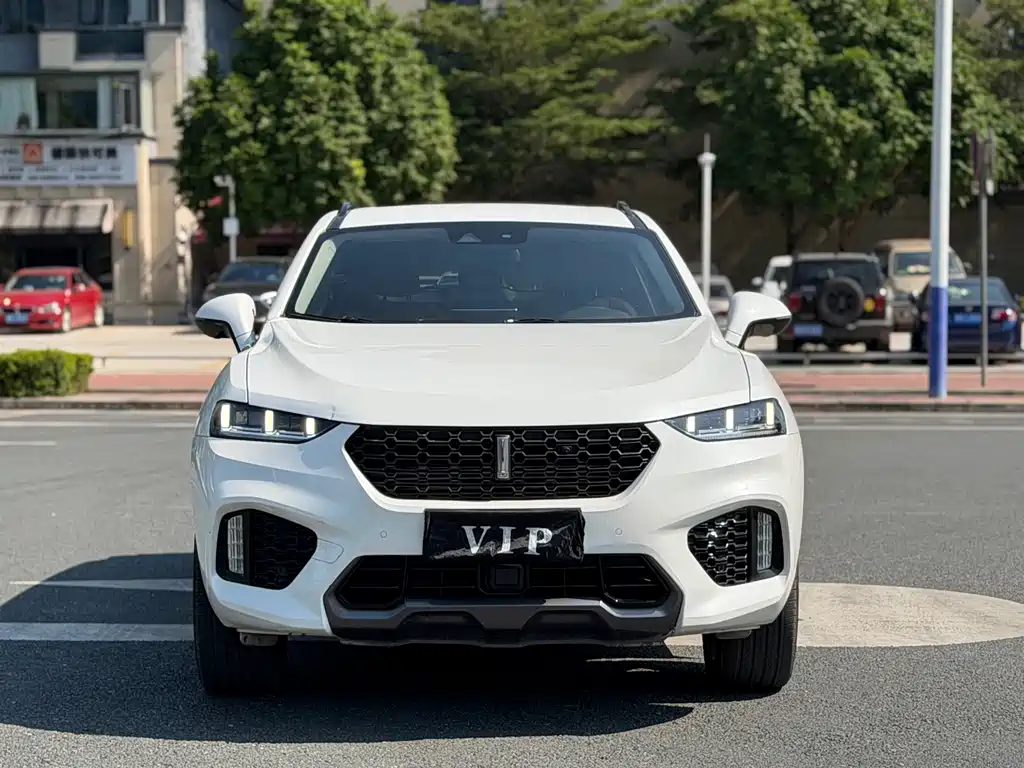 WEI PAI WEI BRAND VV7