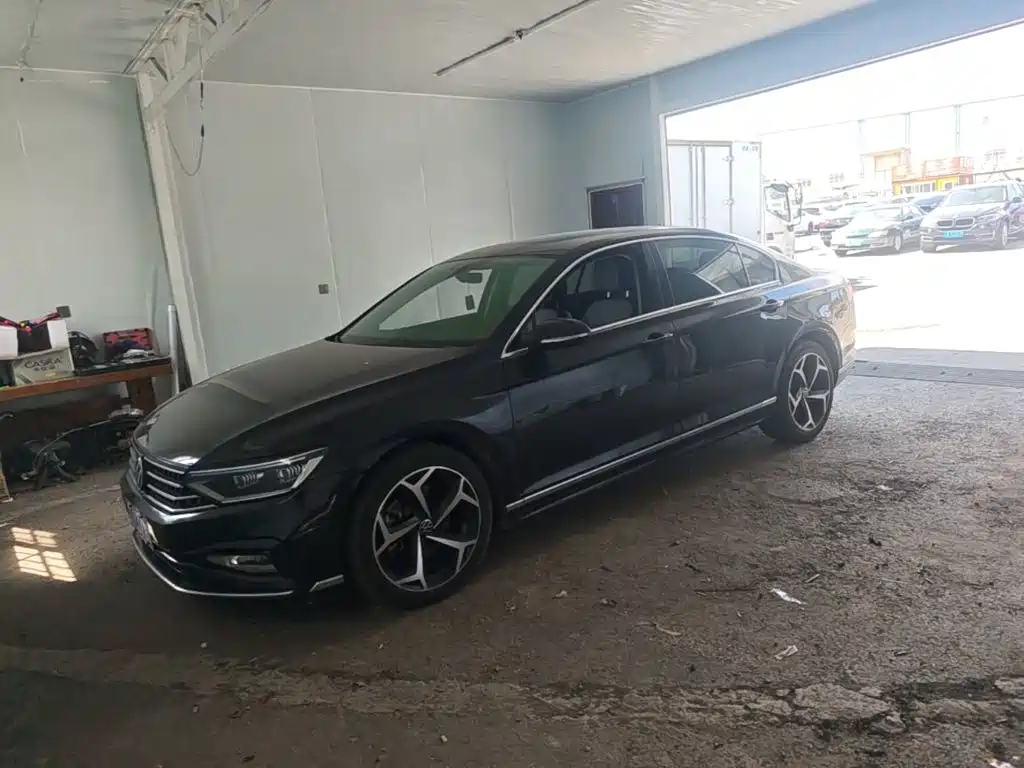 Volkswagen Magotan — миниатюра 2