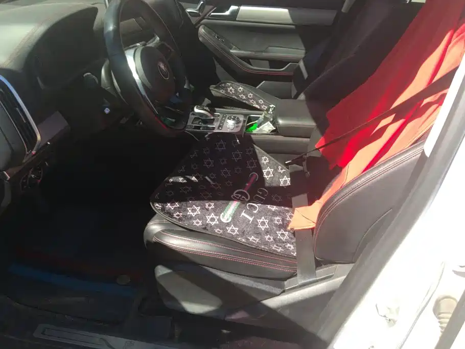 BYD Tang New Energy — миниатюра 9