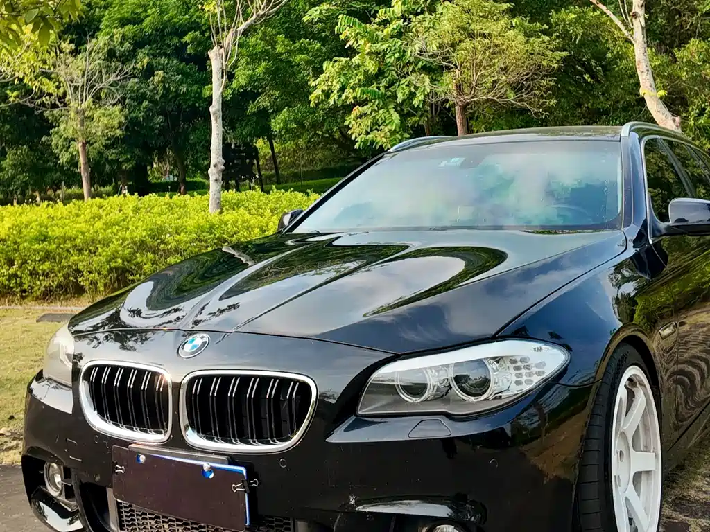 BMW 5 Series (Import) — миниатюра 10