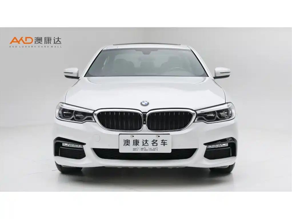 BMW 5 Series — миниатюра 2