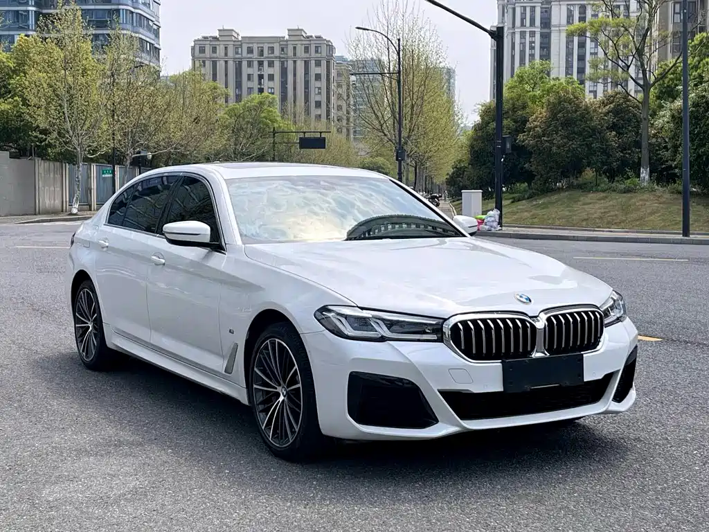 BMW 5 Series — миниатюра 3