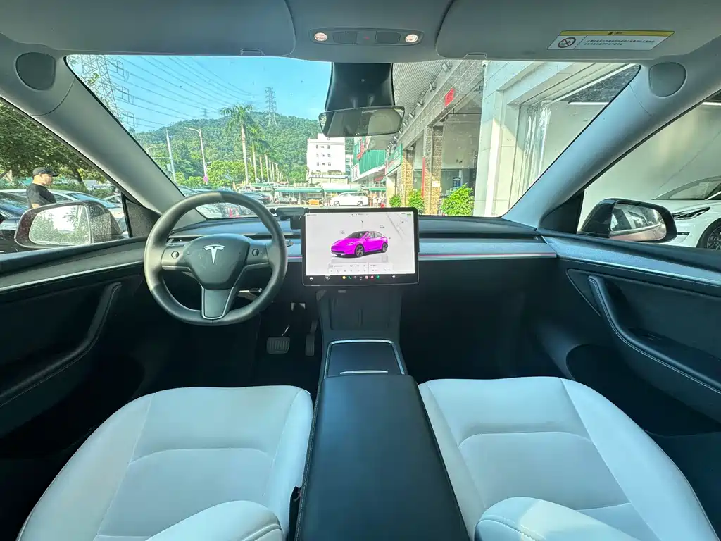 Tesla Model Y — миниатюра 6