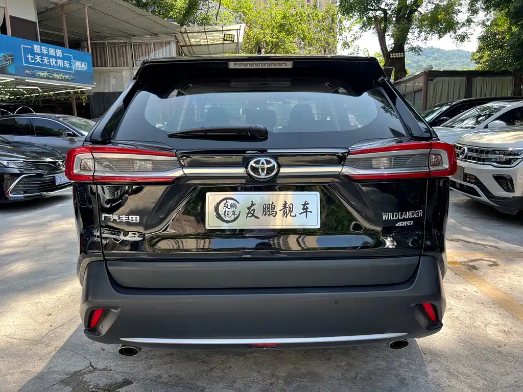 Toyota Wildlander — миниатюра 18