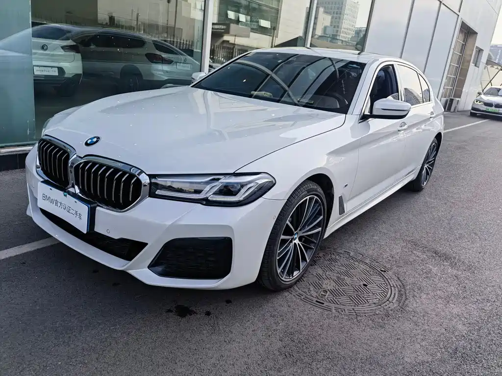 BMW 5 Series 2021 530Li Leading Type M Sport Package