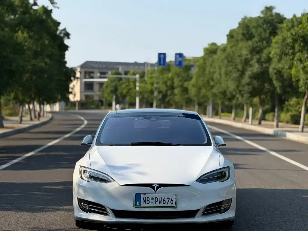 Tesla Model S — миниатюра 2
