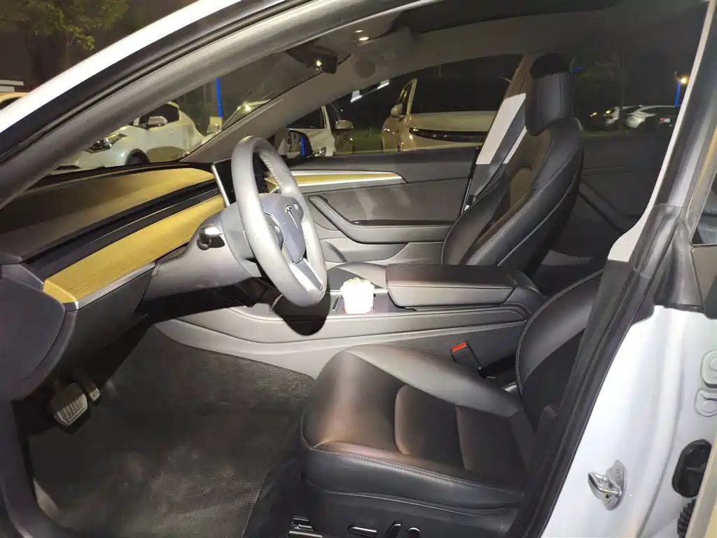 Tesla Model 3 — миниатюра 4