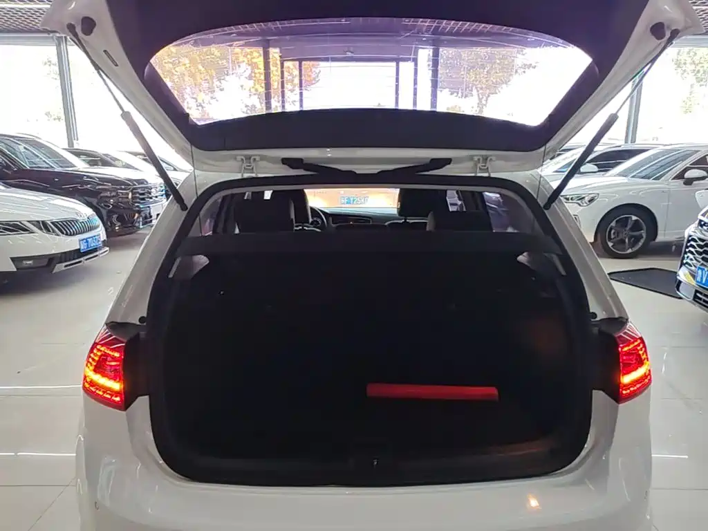 Volkswagen Golf — миниатюра 19