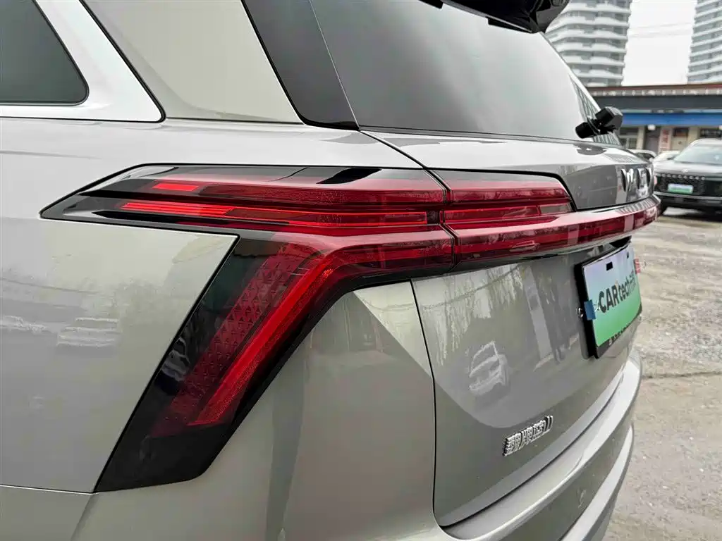 WEI PAI WEI BRAND BLUE MOUNTAIN