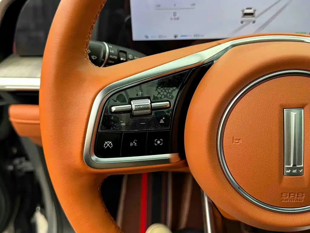 WEI PAI WEI BRAND BLUE MOUNTAIN