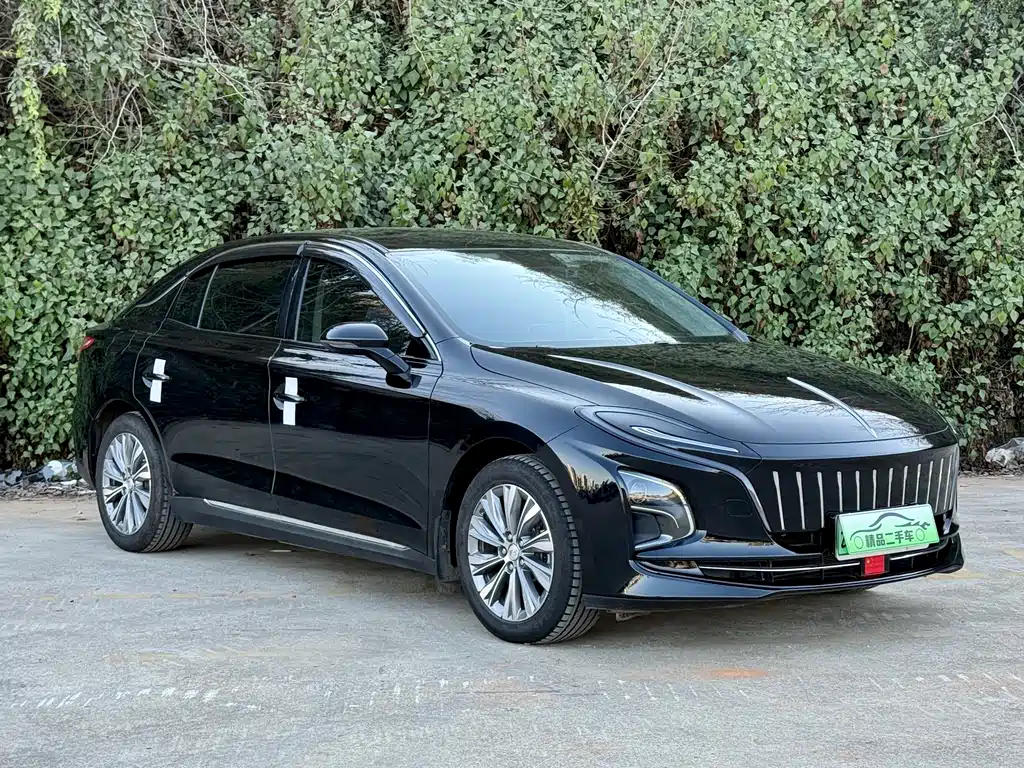 Hongqi HONGQI E QM5