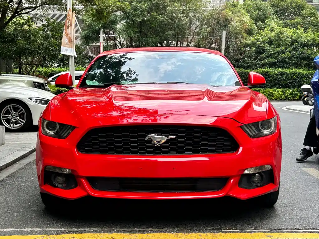 Ford Mustang — миниатюра 2