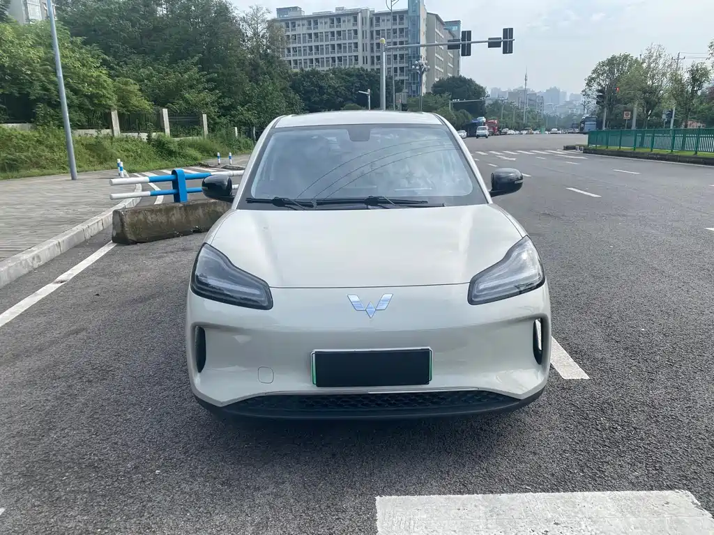 Wuling BinguoPLUS PLUS 2024 330km мест