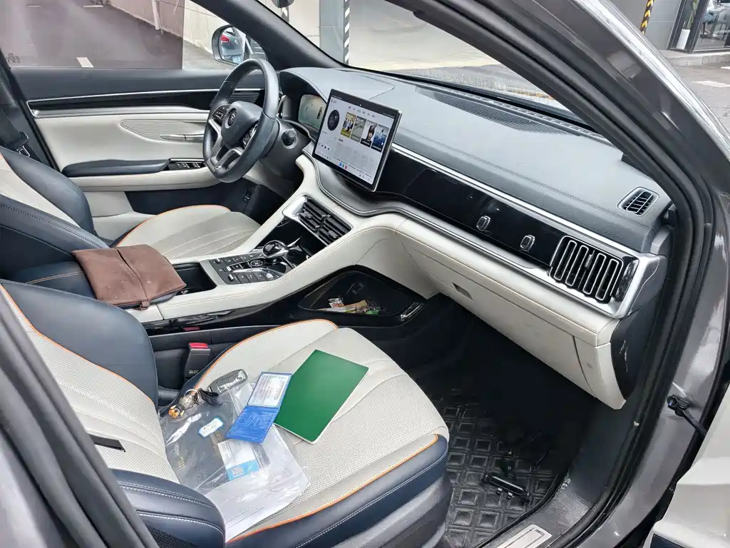BYD PLUS New Energy — миниатюра 7