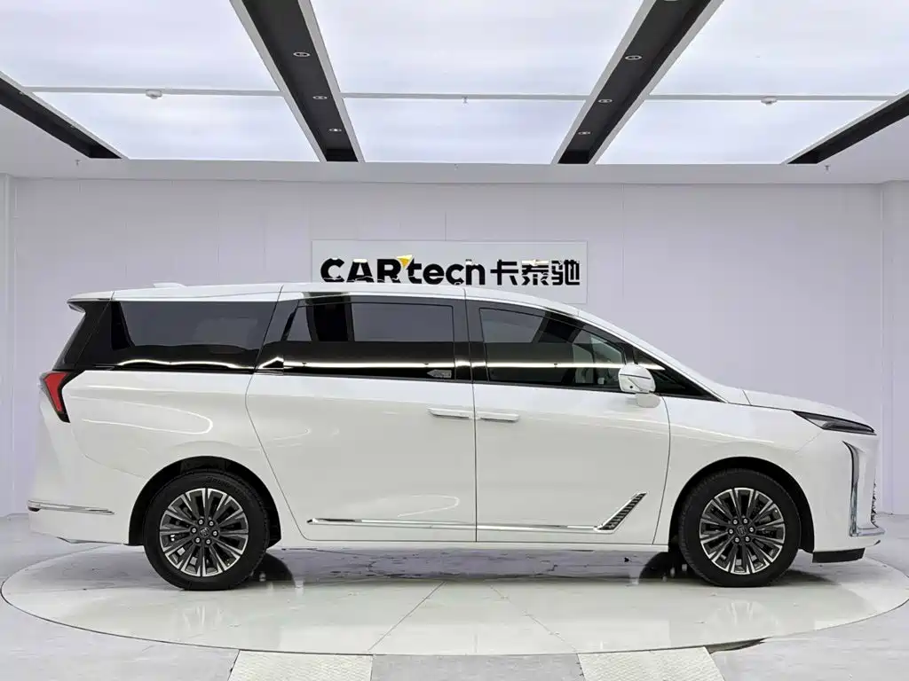 Buick GL8 — миниатюра 6