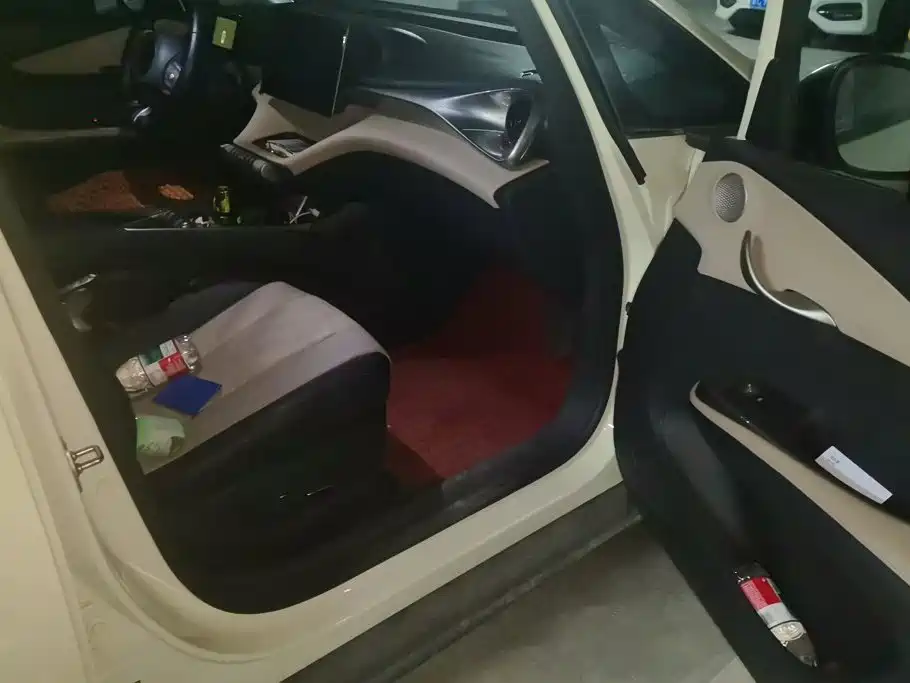 BYD Dolphin — миниатюра 8