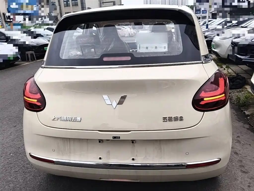 Wuling Binguo 2025 333km Enjoy