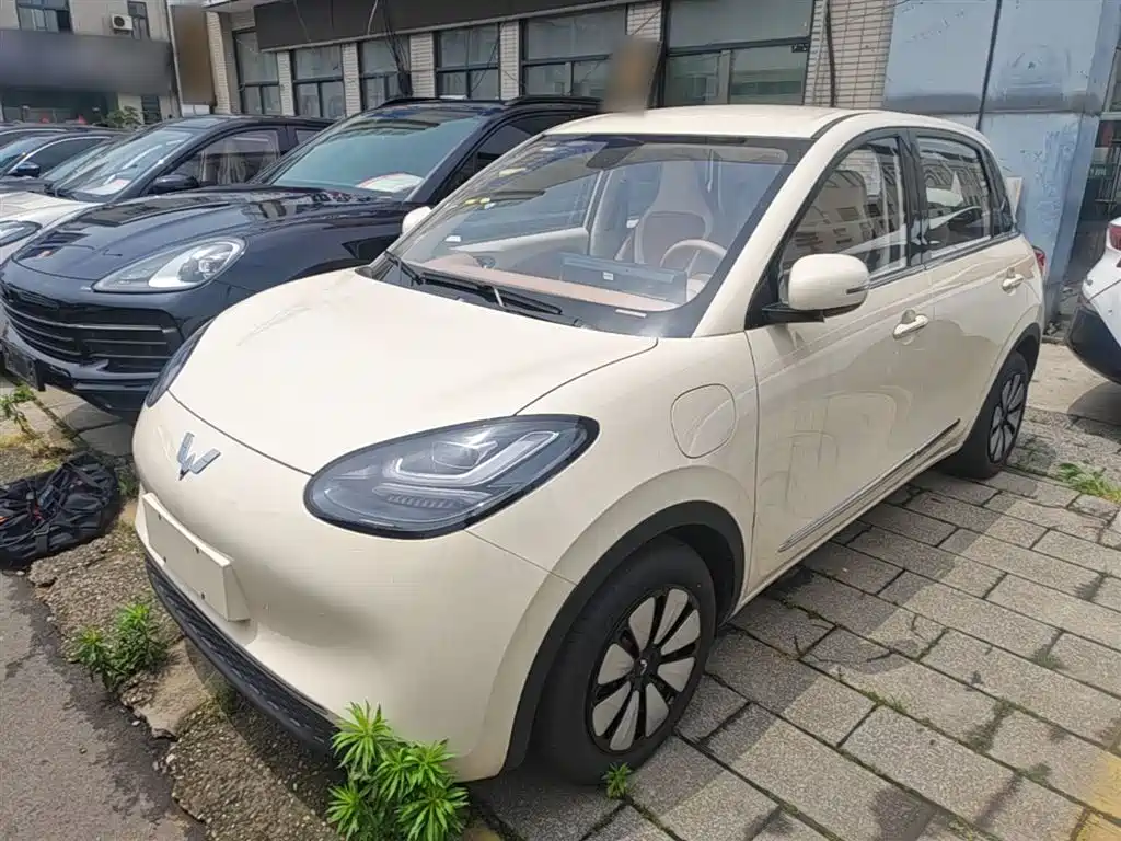 Wuling Binguo 2025 333km Enjoy
