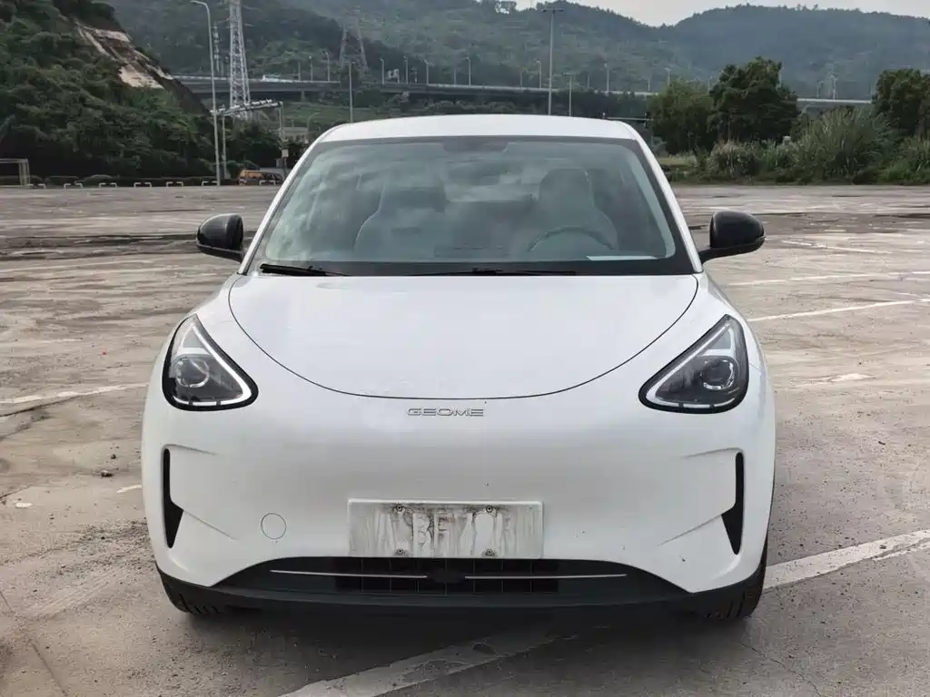 Geely Geome Xingyuan 2025 310km