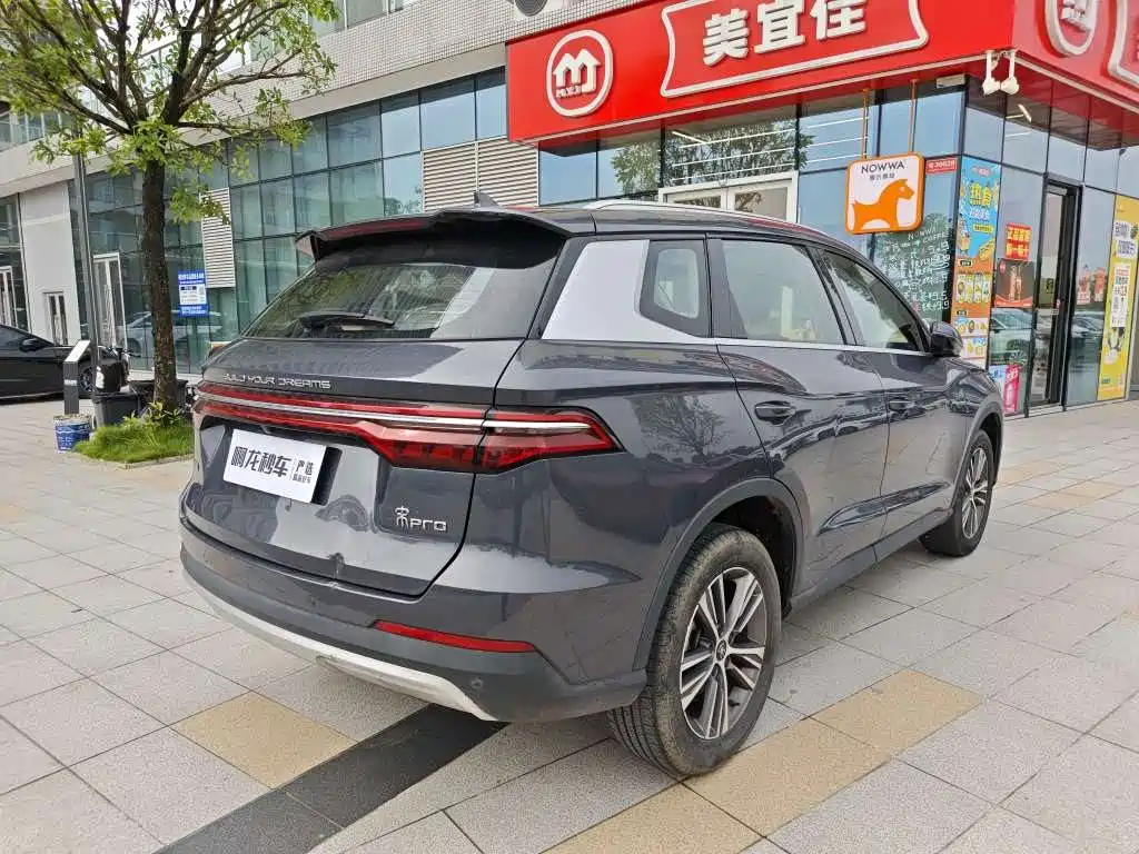 BYD Pro — миниатюра 5