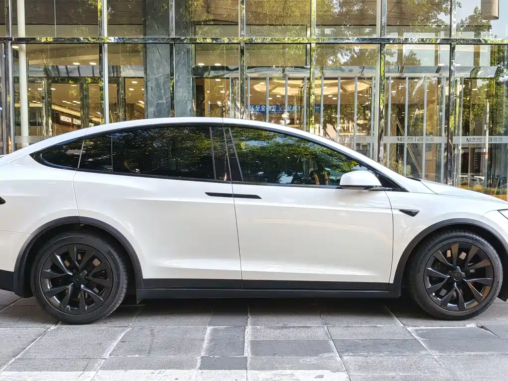 Tesla Model X — миниатюра 6