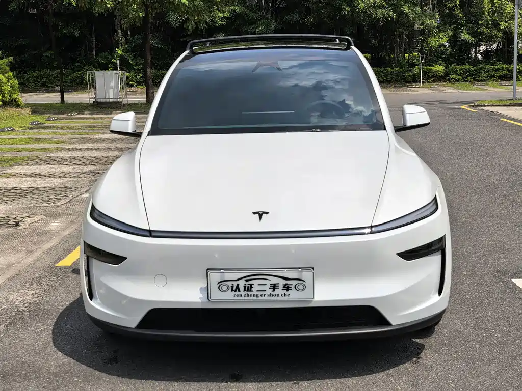 Tesla Model Y L — миниатюра 2