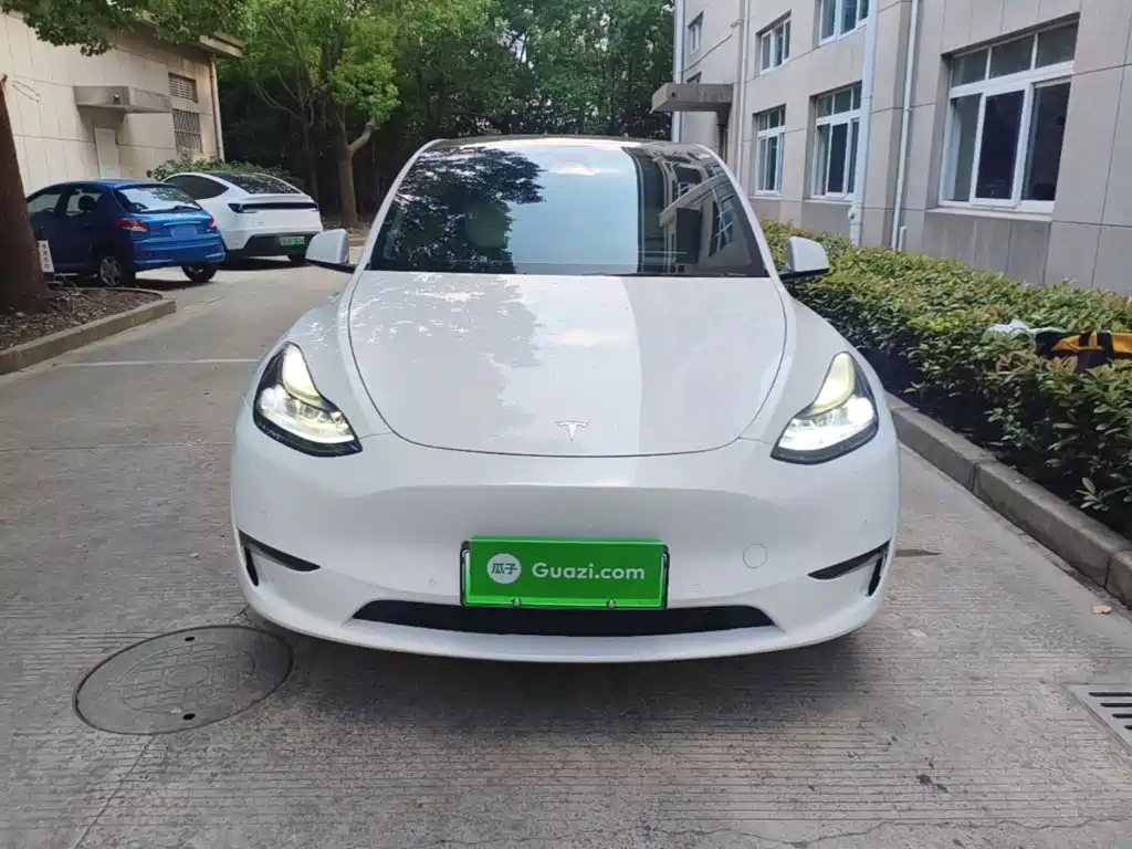 Tesla Model Y — миниатюра 3