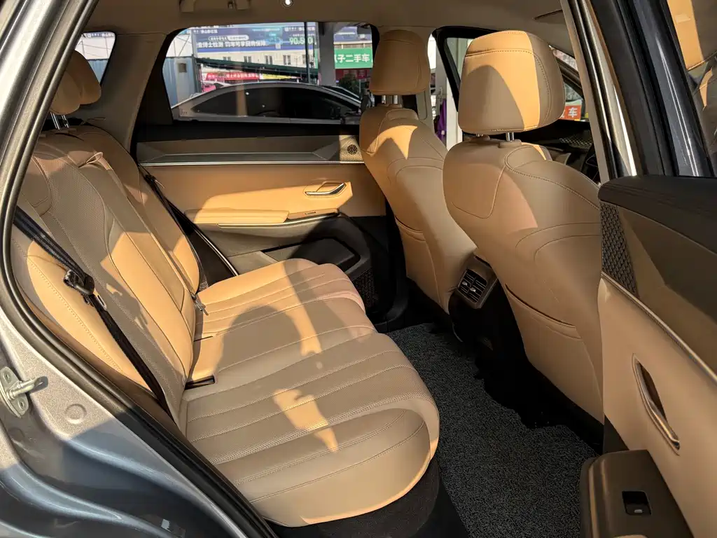 BYD Pro New Energy — миниатюра 11