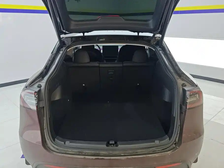 Tesla Model Y — миниатюра 4